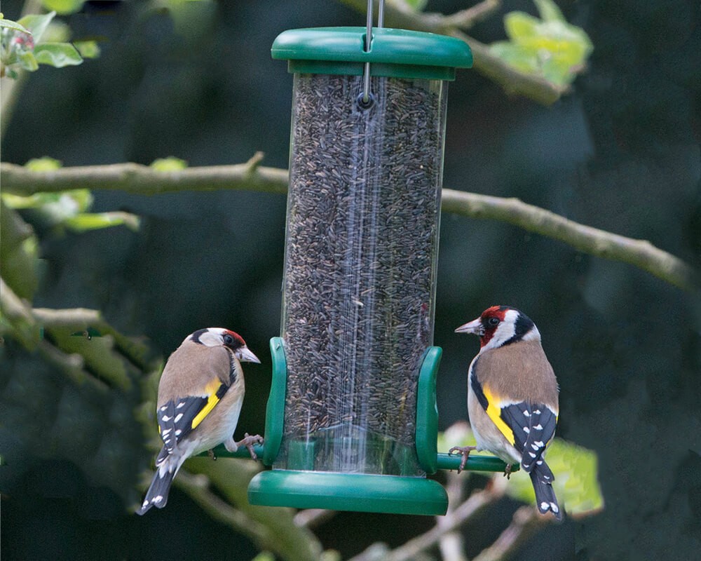 Ring-Pull Niger Feeder