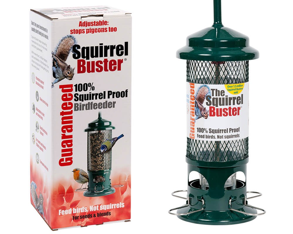 Squirrel Buster Seed Feeder